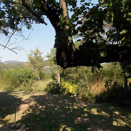 Villa Leopard Tree Retreat Mbombela Exterior foto