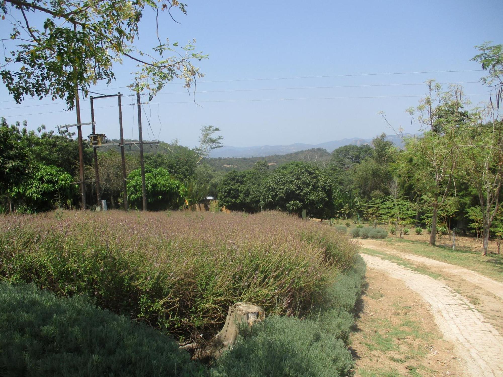 Villa Leopard Tree Retreat Mbombela Exterior foto