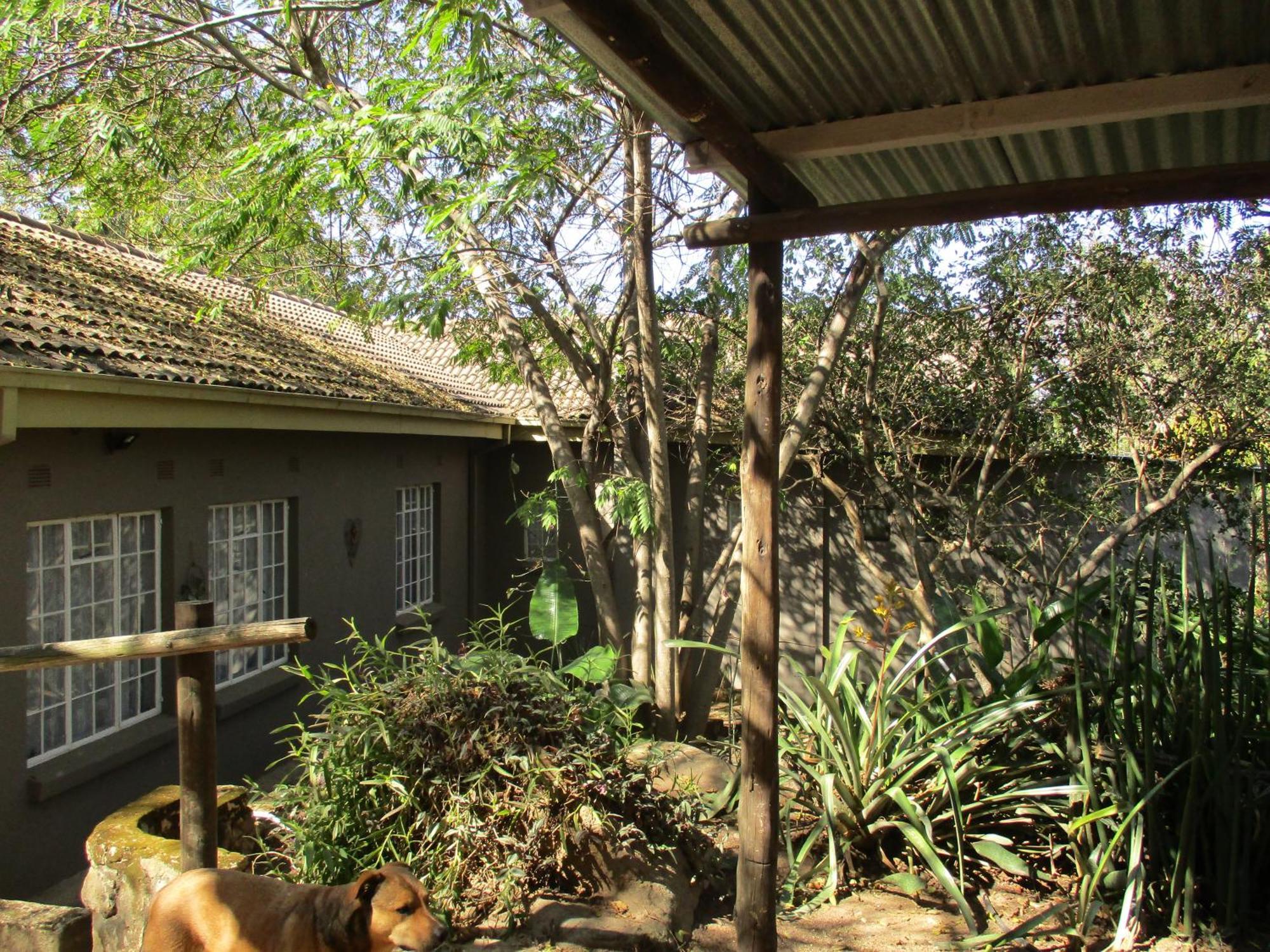 Villa Leopard Tree Retreat Mbombela Exterior foto