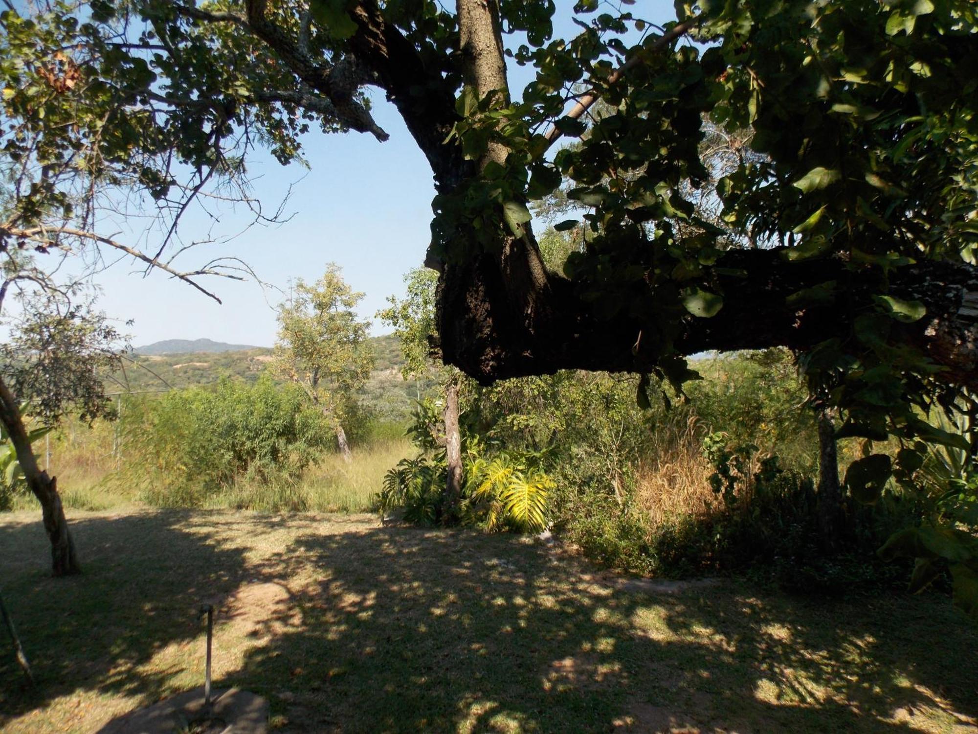 Villa Leopard Tree Retreat Mbombela Exterior foto