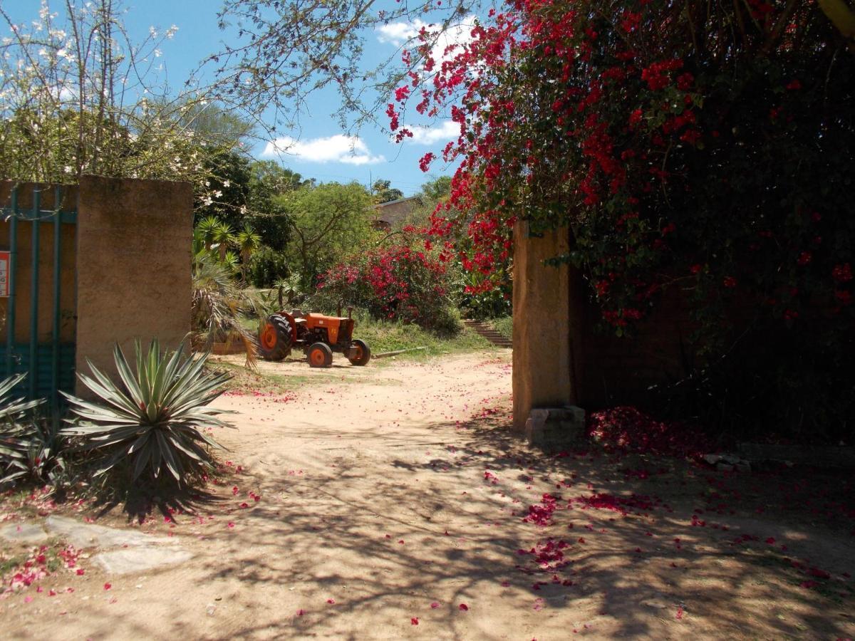 Villa Leopard Tree Retreat Mbombela Exterior foto